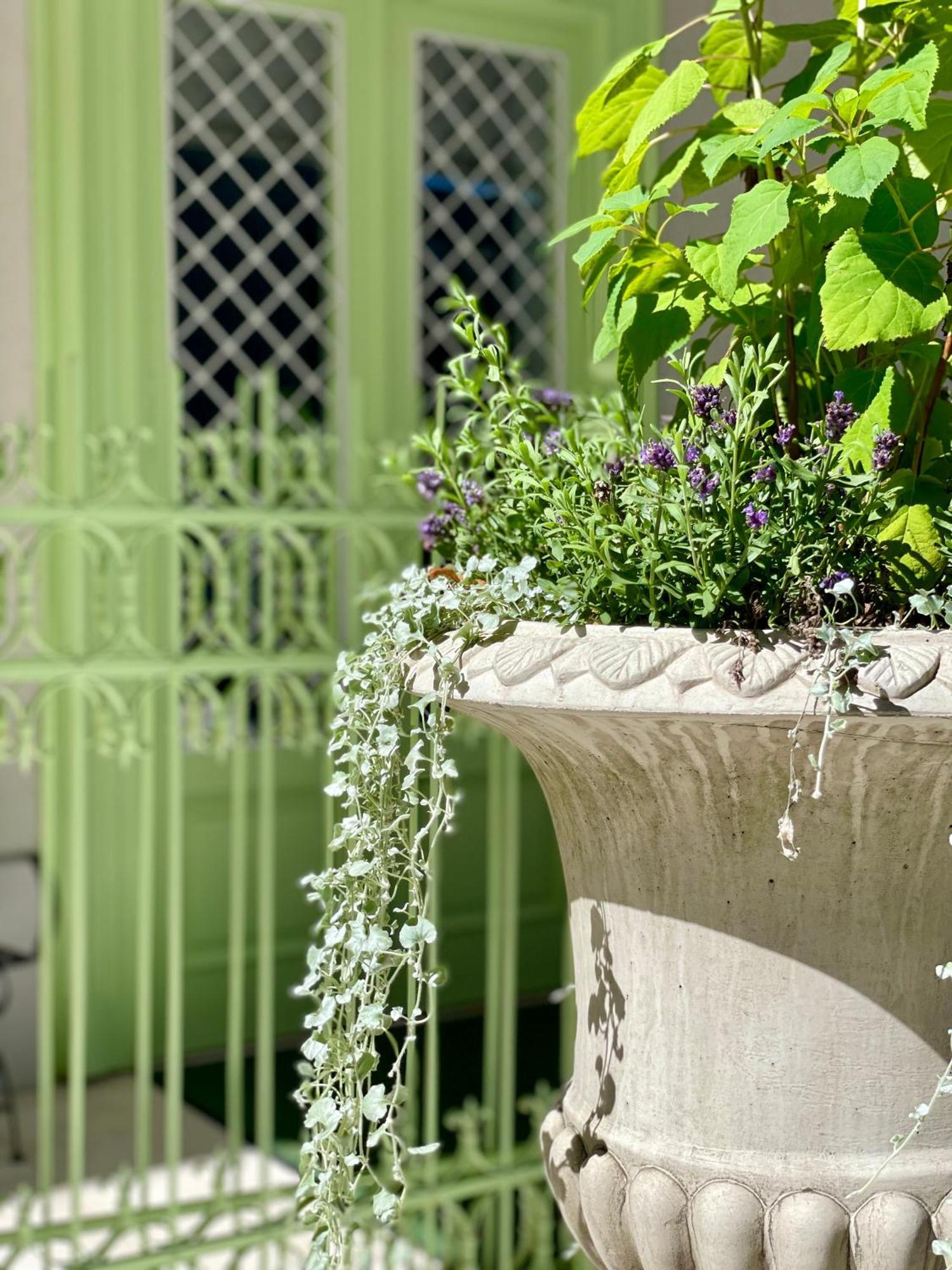 Villa Wickenburg Salzburg Ngoại thất bức ảnh